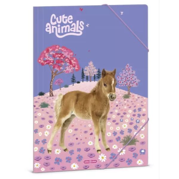 Cute Animals: Horse gumis mappa - A/4-es