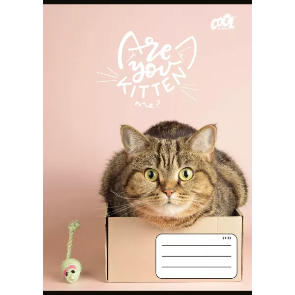Cool by Victoria: quaderno a righe A5 “Cats Forever” – colori/varianti assortiti