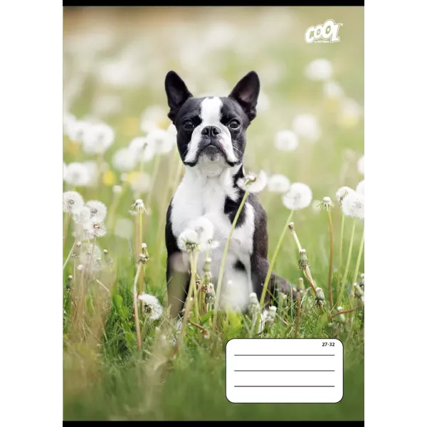 Cool by Victoria: Sort-hvid ternet A5 med hunde – flere varianter
