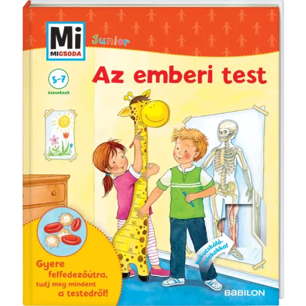 Junior Corpul uman
