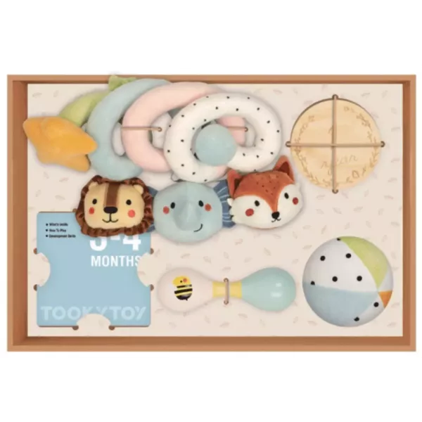 Tooky Toy: conjunto de presentes para bebês com marcadores de meses - 0 a 3 meses