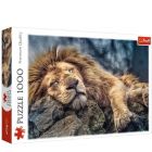 Trefl: Alvó oroszlán puzzle - 1000 darabos