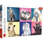 Pisici puzzle cu 500 piese