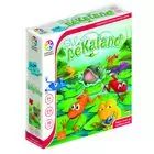 Froschabenteuer - ein Gesellschaftsspiel auf Ungarisch