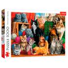 Trefl: Kattenbijeenkomst 1000-delige puzzel