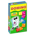 Mini Education - Domino