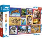 Trefl Animal Planet: Vadvilág montázs puzzle - 1000 darabos