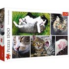 Trefl: Macskadolgok kollázs puzzle- 1500 darabos