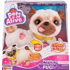Zuru Pets Alive: Poppy, a táncoló mopsz kutyus