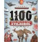 1100 Dinge, die man über die Welt wissen sollte - Ungarische Sprache