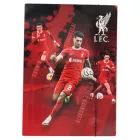 Liverpool: Carpeta elástica A4, varios modelos