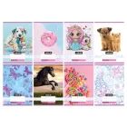 Nebulo: Vonalas füzet színes mintával, 1. osztályos, 14-32, A5 - többféle