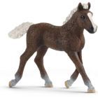 Schleich: hříbě Černý les - figurka 13899