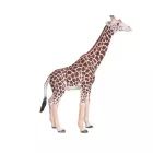 Mojo: Hím zsiráf - kézzel festett figura