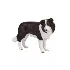 Mojo: Σκύλος Border Collie - 7,5 εκ.