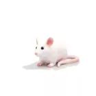 Mojo: Pelė - 6,5 cm