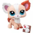 Littlest Pet Shop: Játékfigura #228 - Csivava