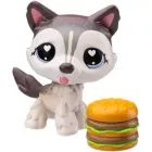 Littlest Pet Shop: Játékfigura #240 - Husky