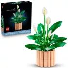 LEGO® Botanicals Bela Zastava 11504