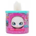 QT Kitties: Cuki cicusok - Rosie