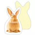 Nyuszi mintás formapárna