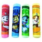 Paw Patrol: Asfaltkrijt - set van 4