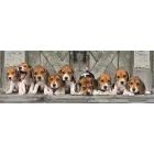 Clementoni: Πανοραμική παζλ με σκυλιά Beagle - 1000 κομμάτια