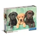High Quality Collection: Puzzle z trzema małymi labradorami - 1000 elementów