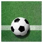 Servetėlės su futbolo kamuolio raštu – 20 vnt.