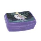 Northern Lights: Desiata box