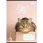 Cool by Victoria: Cats Forever, zeszyt w linie A5 – różne wzory