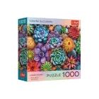 Trefl: Puzzle da 1000 pezzi con piante grasse variopinte