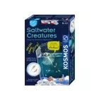 Kosmos: Salzwasser-Kreaturen – Experimentier-Set für Meerestiere