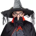 Ochelari și nas de vrăjitoare, accesoriu de costum