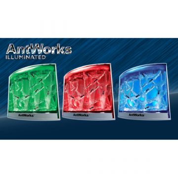 Antworks mravlji farm rdeča LED osvetlitev - .slika