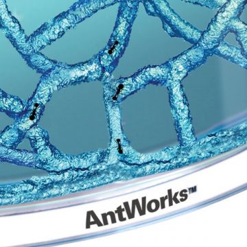 Komplet osnove farme mravelj Antworks - .slika