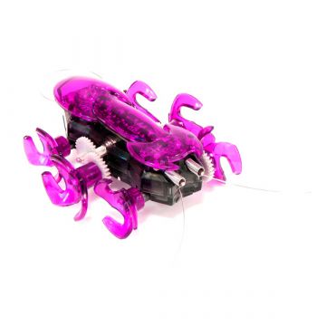 Hexbug - rožnata mravlja - .slika