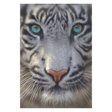Beli tiger 500-delna sestavljanka - .slika