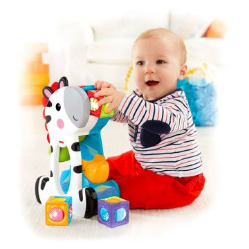 Fisher-Price: Zebra igriva s kockami z žogicami - .slika