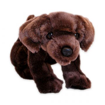 Plišasti labrador, ležeča različica - 20 cm, različne barve - .slika