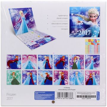 Ženske Disneyjeve princese: zamrznjeni koledar, zvezek, srednji - 2017, madžarski jezik - .slika