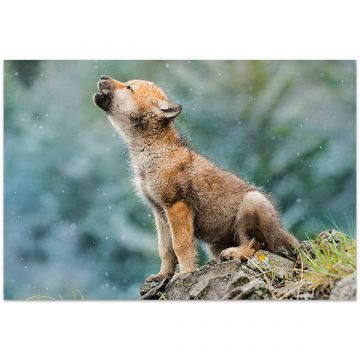 Clementoni: Volk mladič - sestavljanka s 250 kosi - .slika