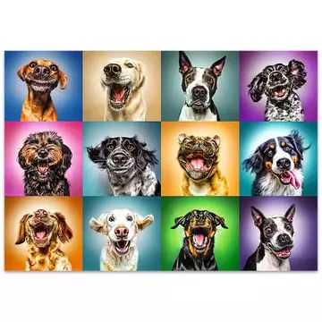 Trefl: Puzzle 1000 pezzi con cani divertenti - .immagine