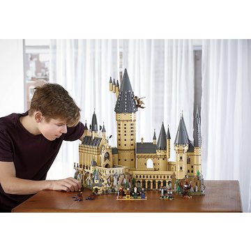 LEGO Harry Potter: Zamek Hogwart 71043 - .zdjęcie 