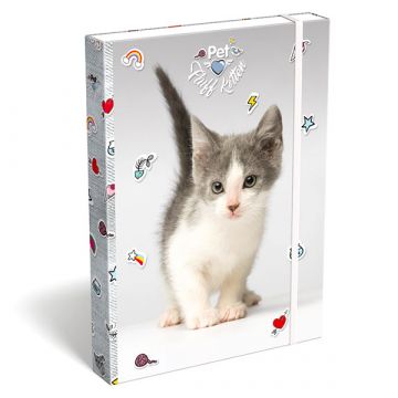 Pet cica mintás füzetbox - A4