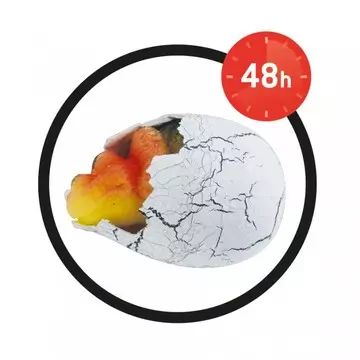 Buki: Magiškas kiaušinis - dinozauras - .vaizdas