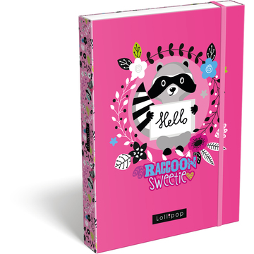 Lollipop: Raccoon Sweetie Füzetbox - A5