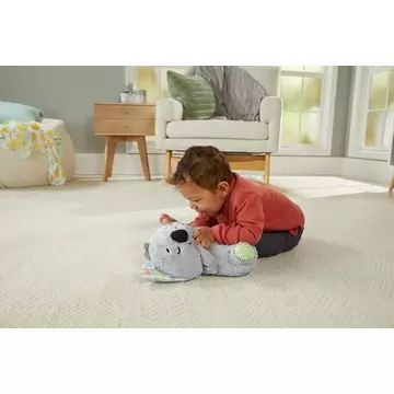 Fisher-Price: Ursuleț coala liniștitor - .foto