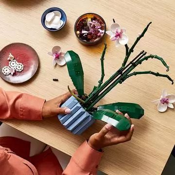 LEGO® Icons Orchidea virág ajándék 10311 - . kép