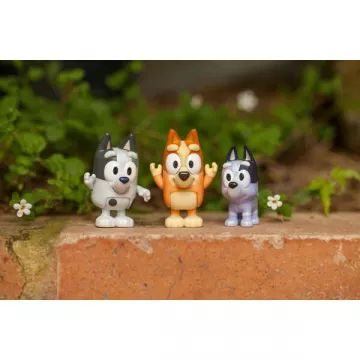 Bluey: Igralište Rođaci - Bingo, Muffin i Socks - .slika